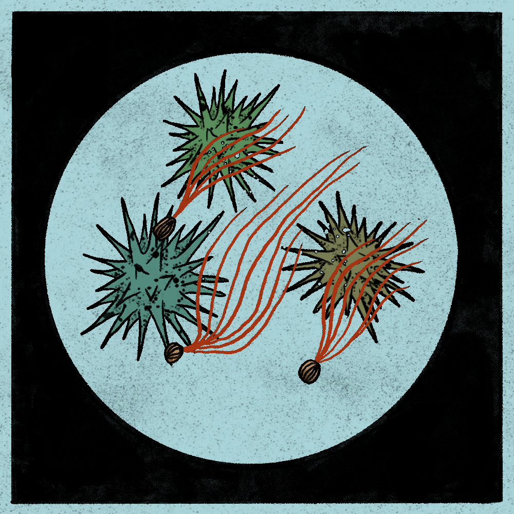 Microbes #213 static NFT preview