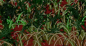 Fern Forest project preview
