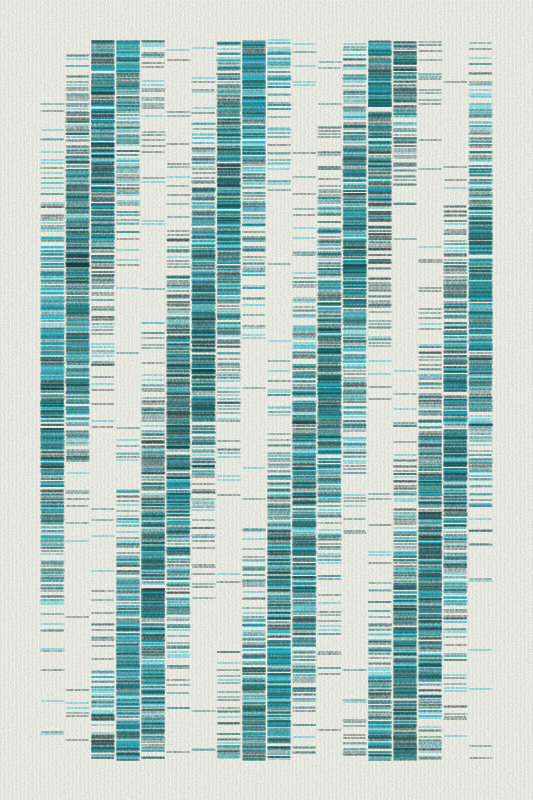 Sequence #207 static NFT preview