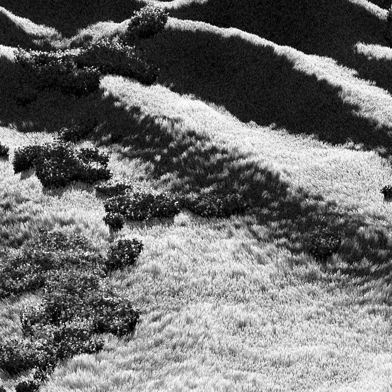 California Hills in Late Sun #64 static NFT preview