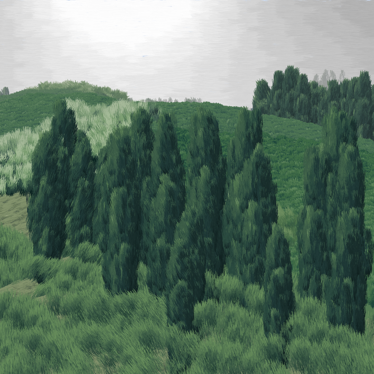 Provence #183 static NFT preview