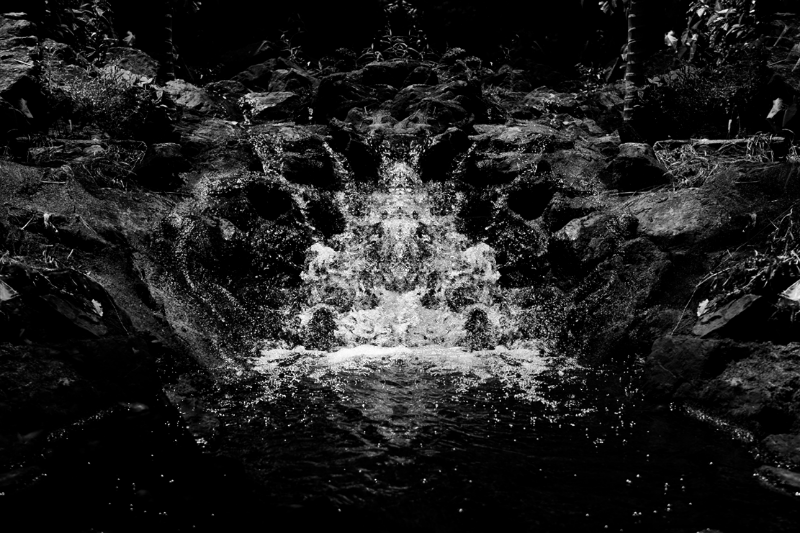 chasing waterfalls #9 static token preview