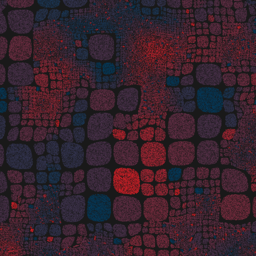 warpGrid #35 static token preview