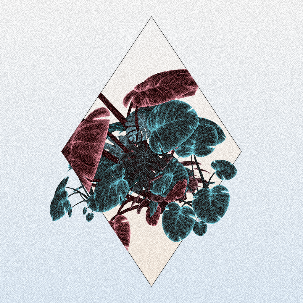 Botany #12 static NFT preview