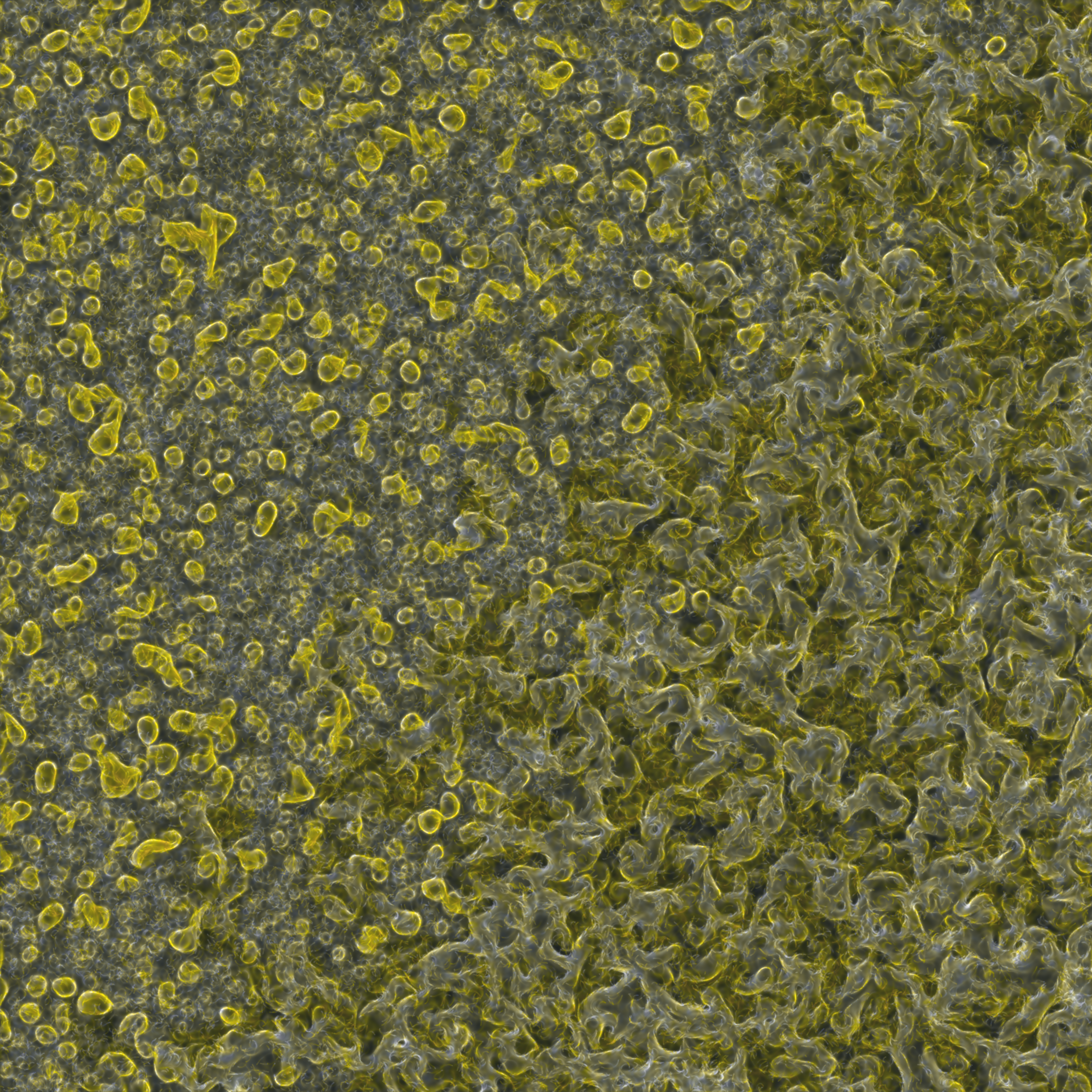 saprophyte #235 static NFT preview