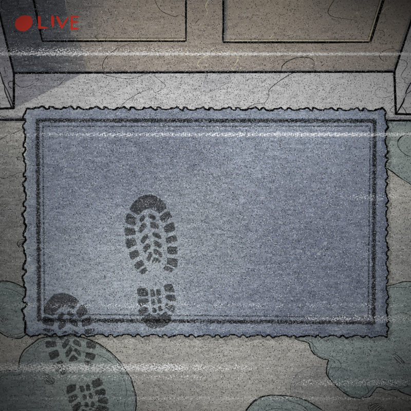 NOT A RUG #410 static token preview