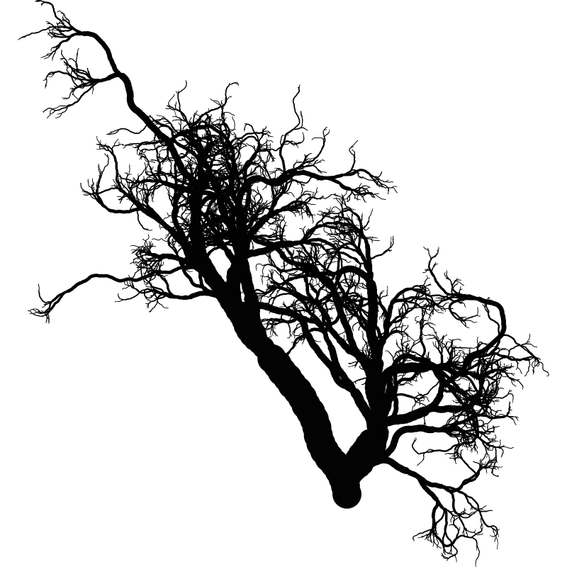 Tree 01 #95 static token preview