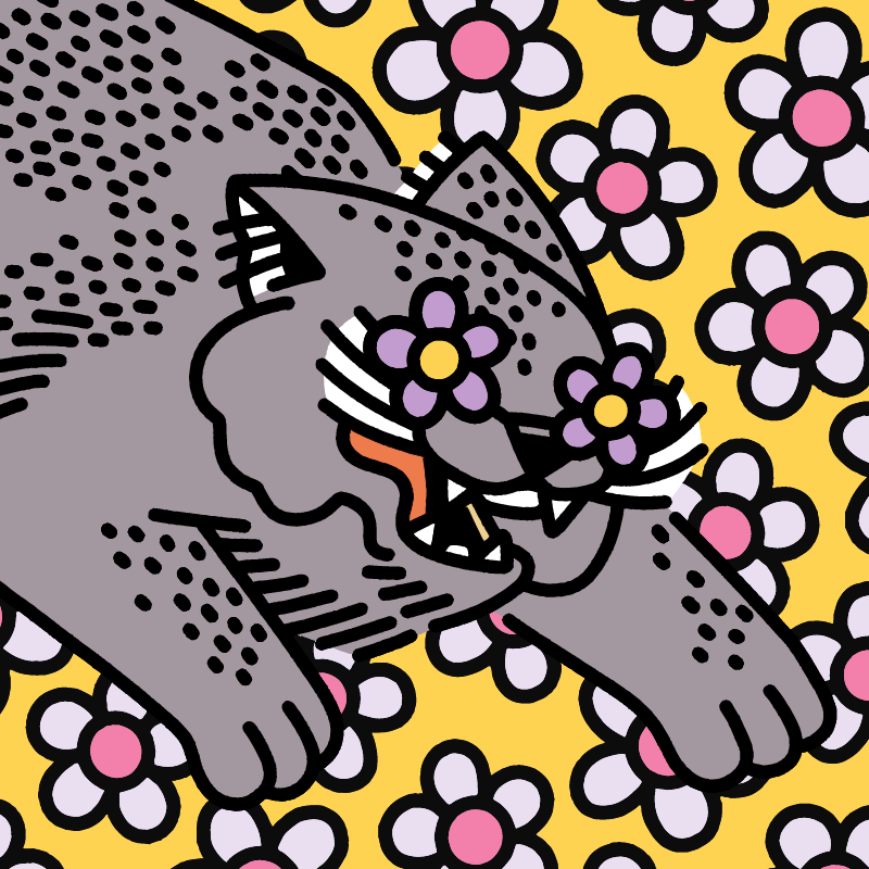 fx(cats) #224 static token preview