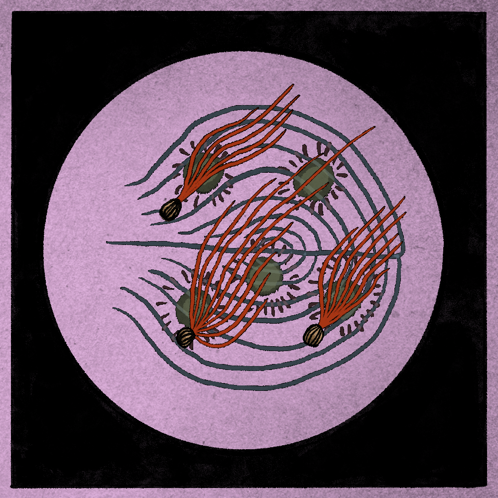 Microbes #255 static token preview