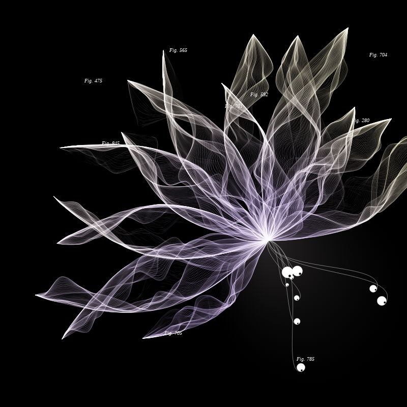 Herbarium #584 static token preview