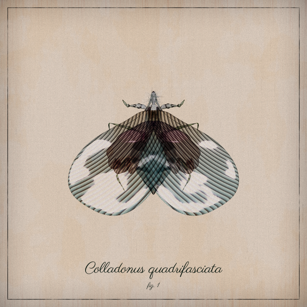 ProcGen Entomology #40 static NFT preview