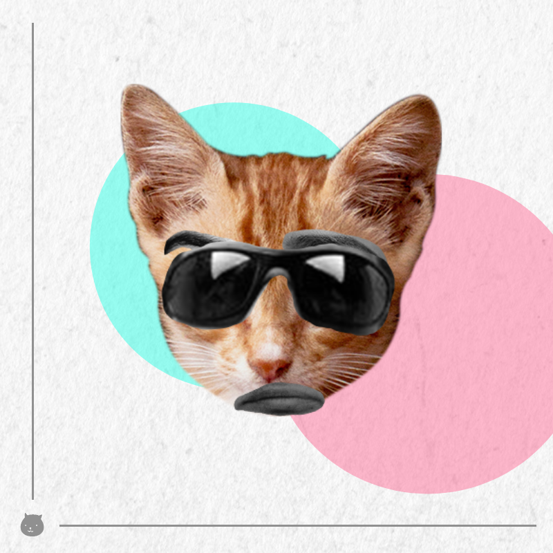Kittenstein #53 static NFT preview