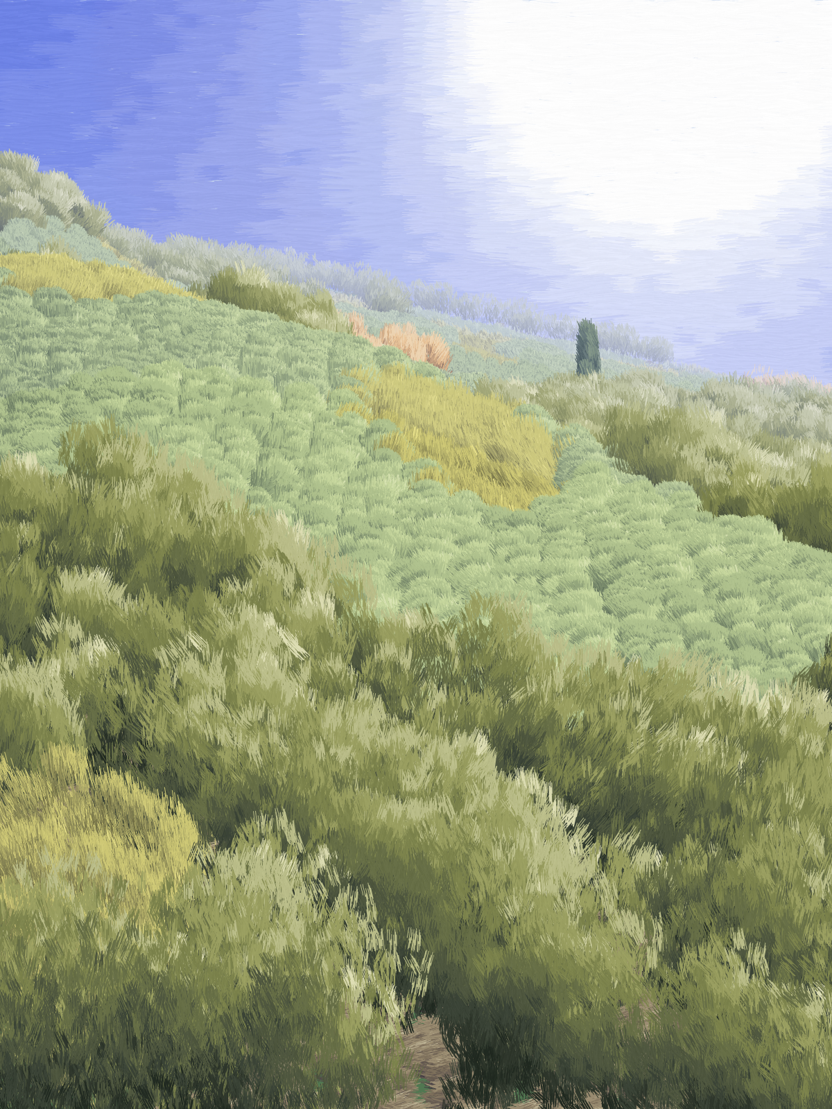 Provence #181 static NFT preview