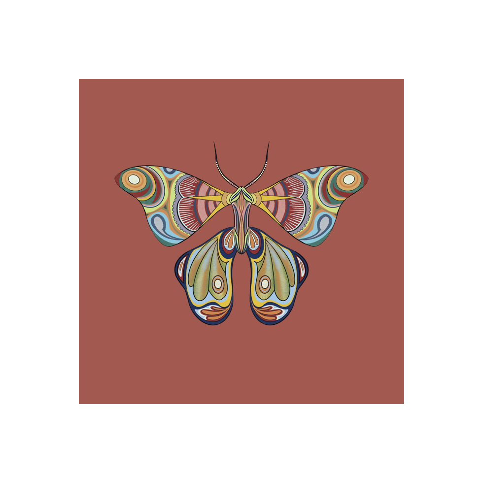 The Moth Experiment #34 static token preview