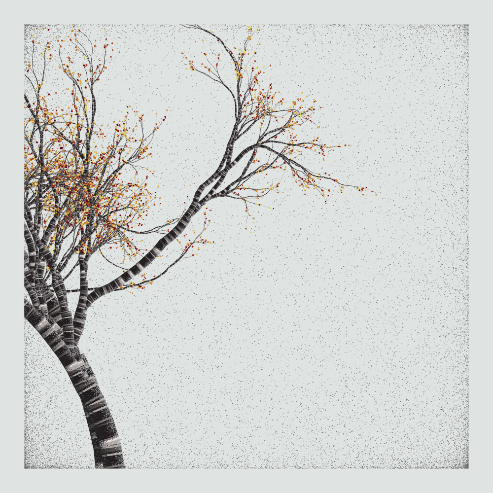 Bougainvillea #179 static NFT preview