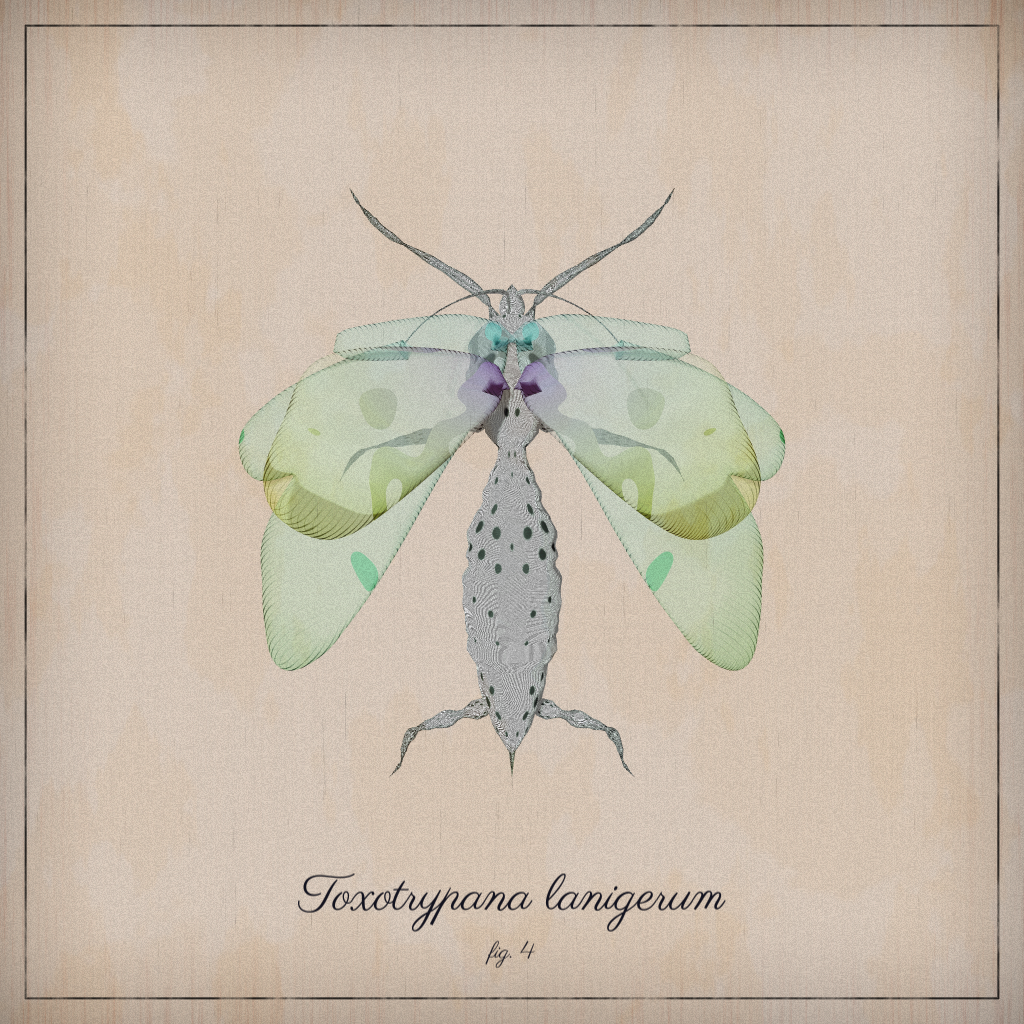 ProcGen Entomology #64 static NFT preview