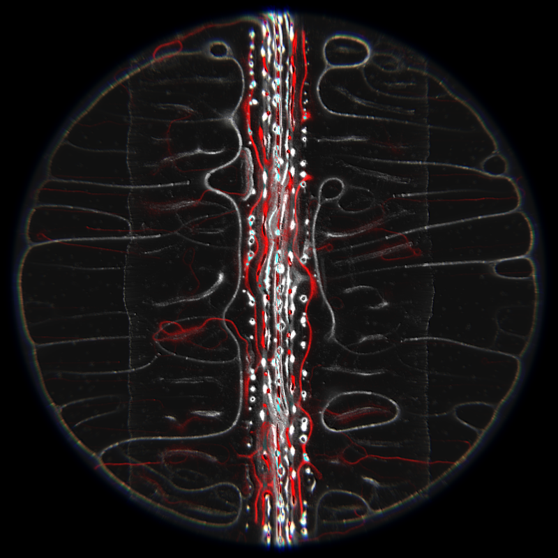 Ethereal Microcosm #144 static NFT preview