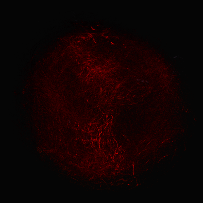 balls in vector fields #28 static token preview