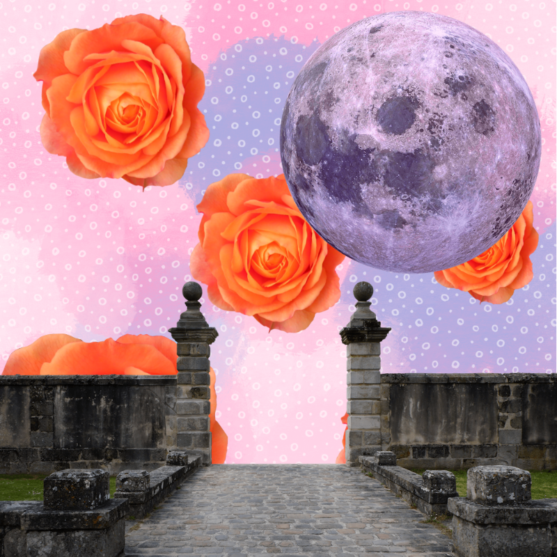 Pink Moon #47 static token preview