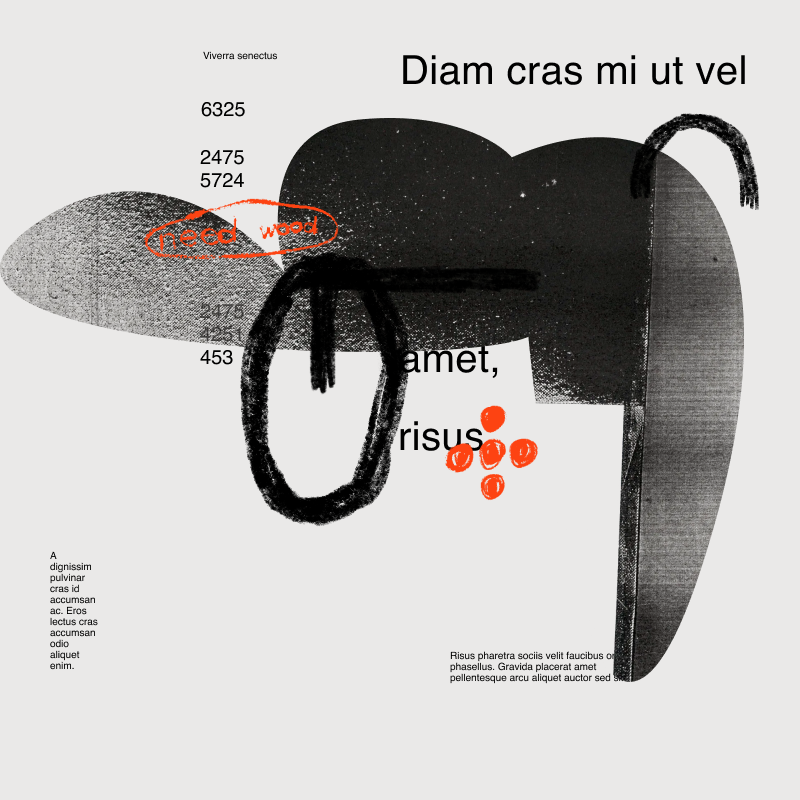 Generative poster - Feathers #54 static NFT preview