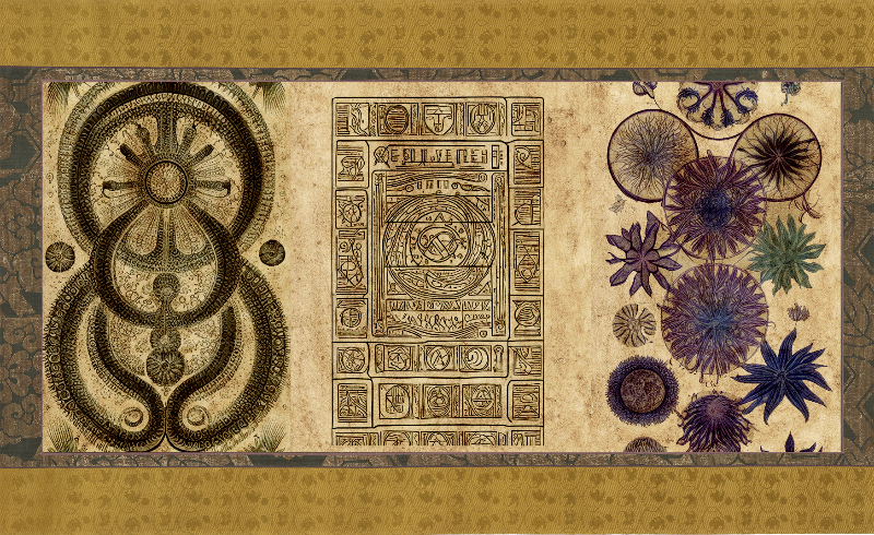 The Emissary Scrolls #14 static token preview