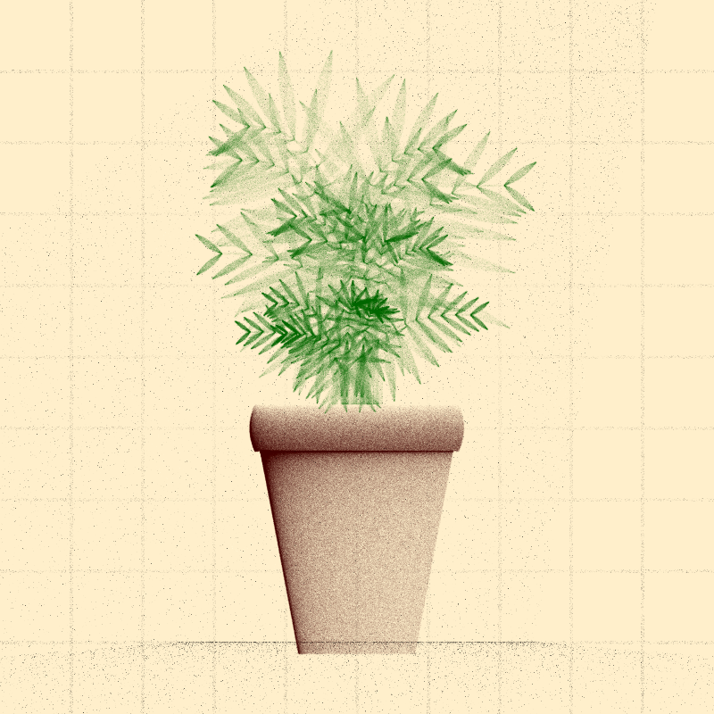 🌱 Potted & Printed #529 static token preview