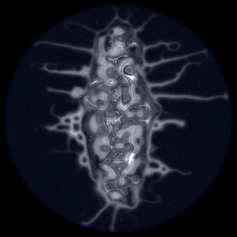 Ethereal Microcosm #50 static NFT preview