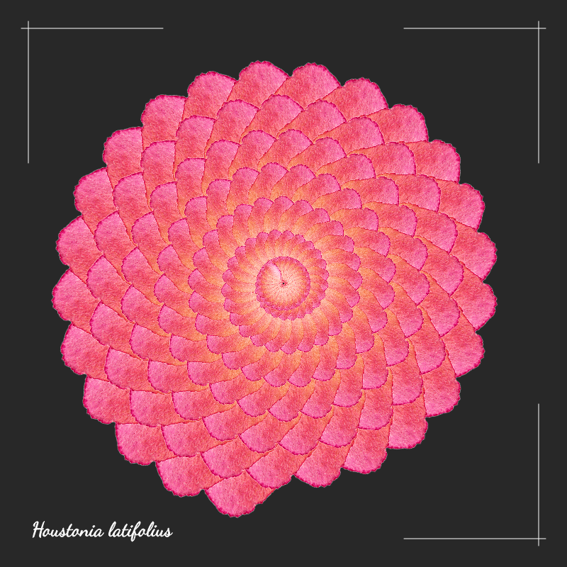 The Eden Project #45 static token preview