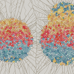 Fractured Cells project preview