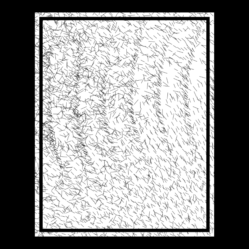 bnw plotter mandalas gone crazy #53 static NFT preview