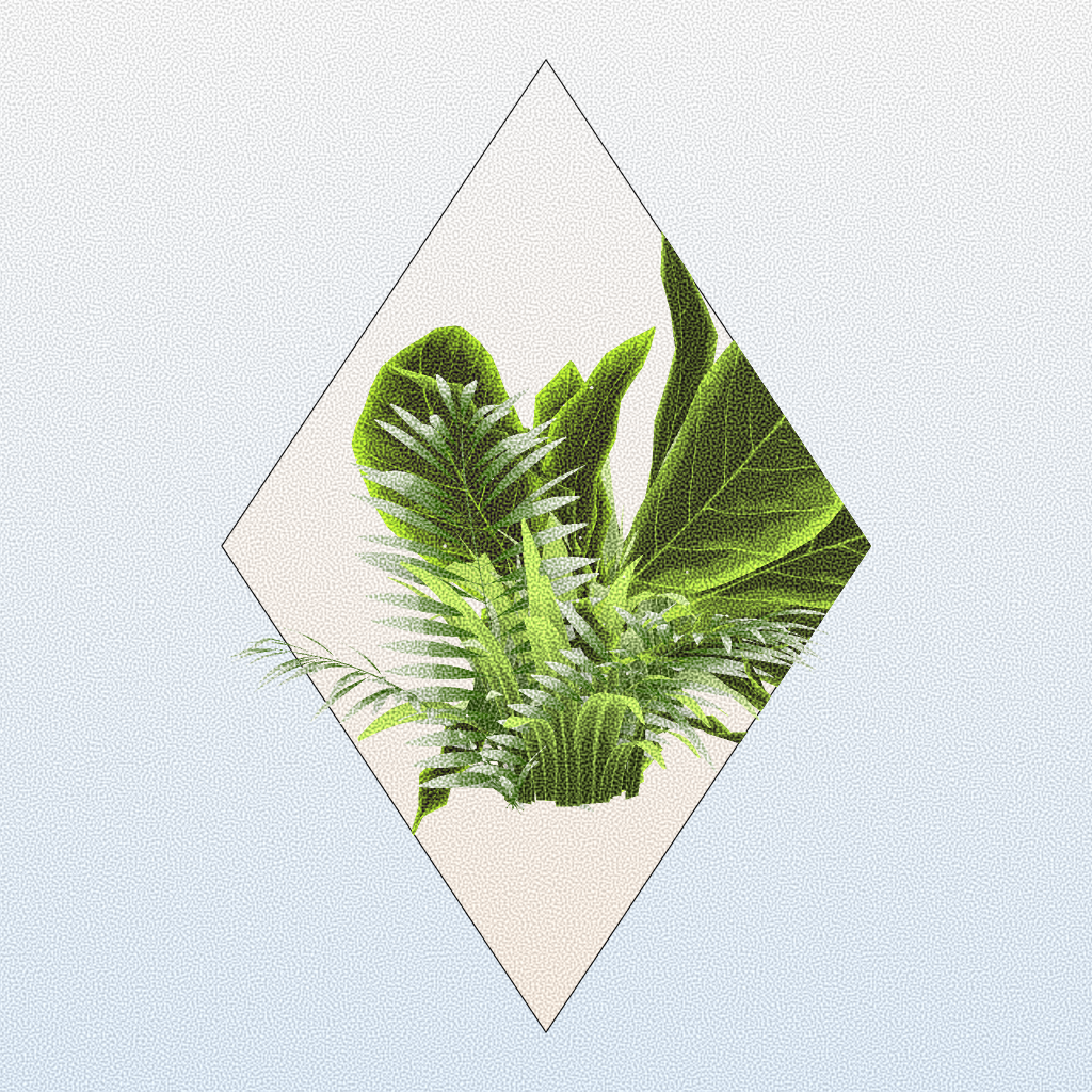 Botany #63 static token preview