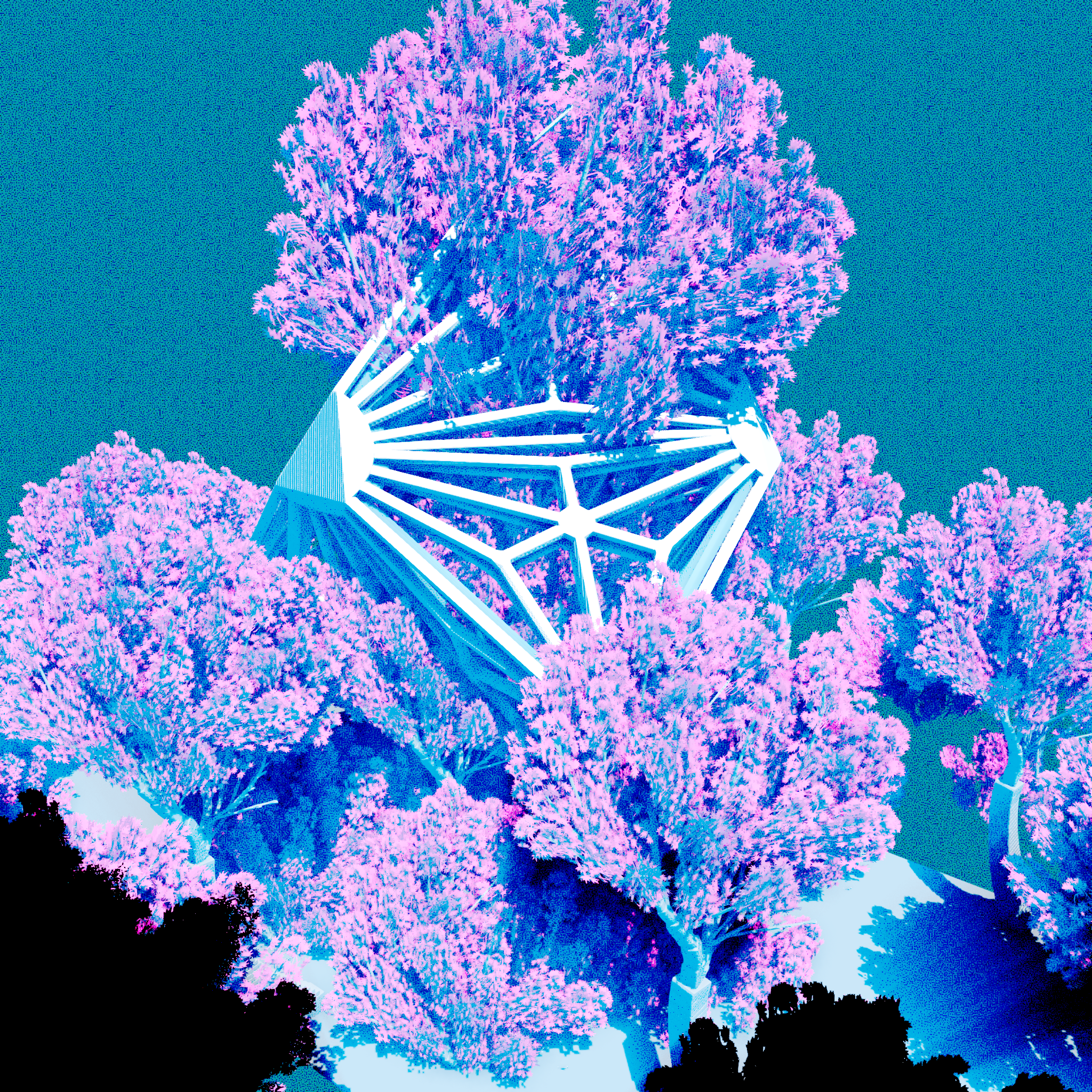 Urban Flora #81 static NFT preview