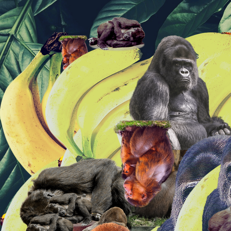 Banana #1 #42 static NFT preview