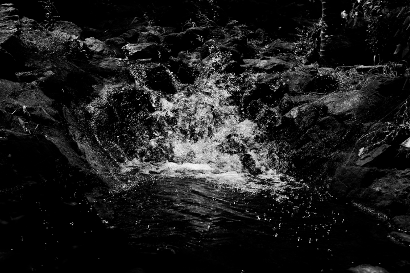chasing waterfalls #23 static token preview