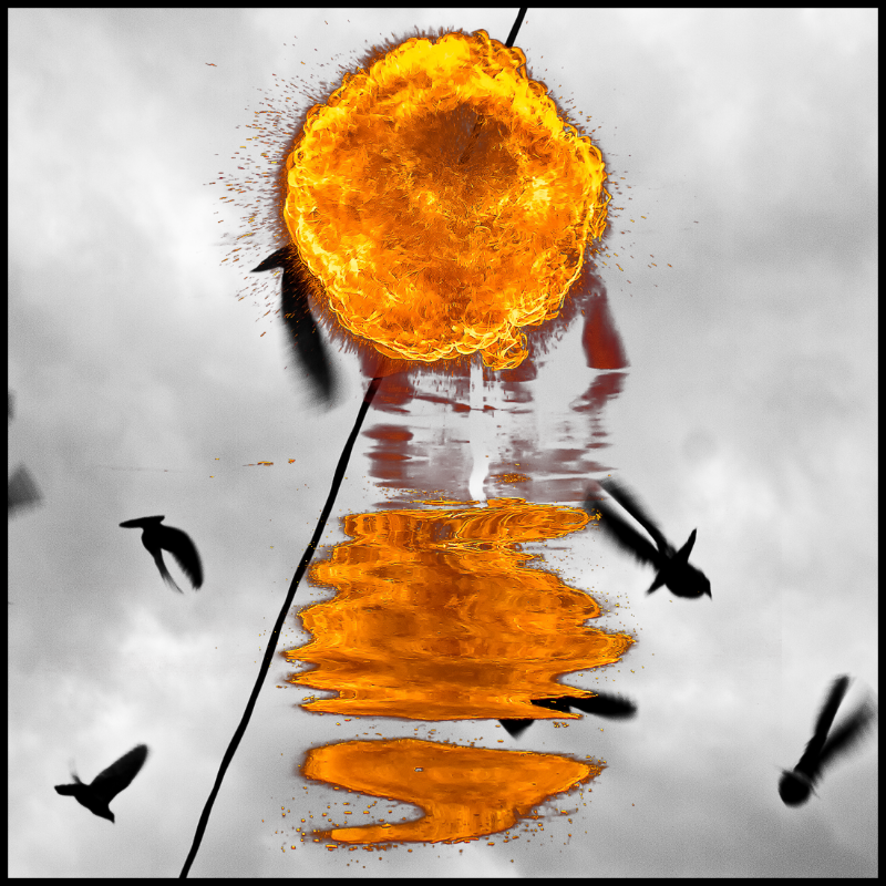 Free to burn #30 static NFT preview