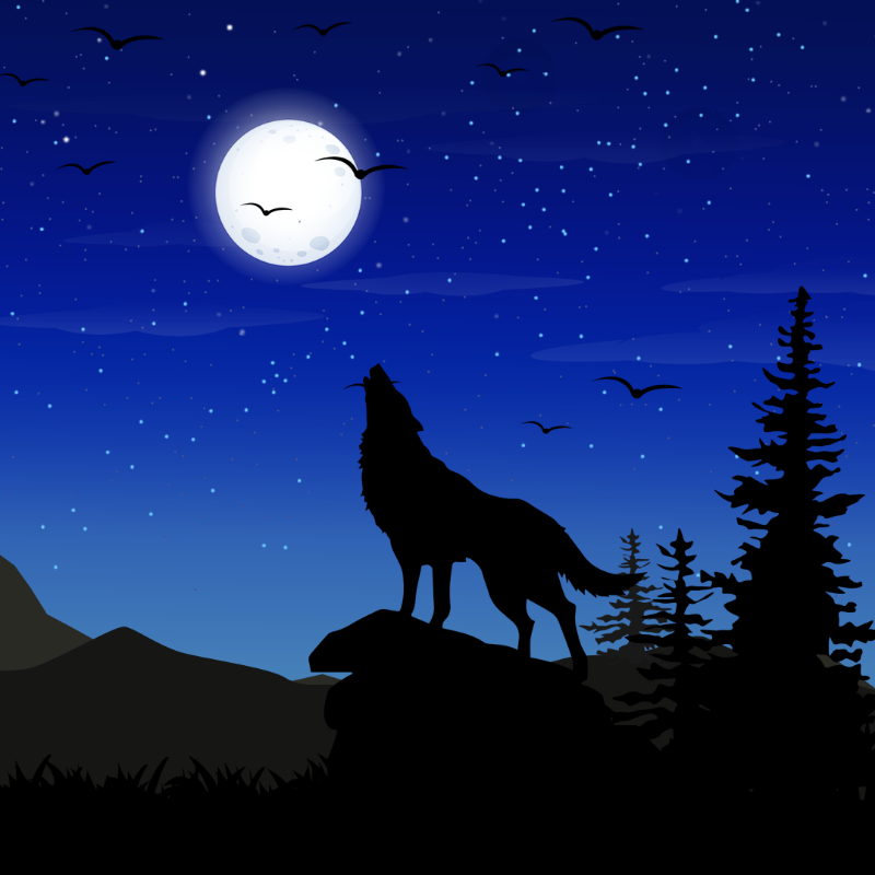 We Care...Wolf #5 static token preview