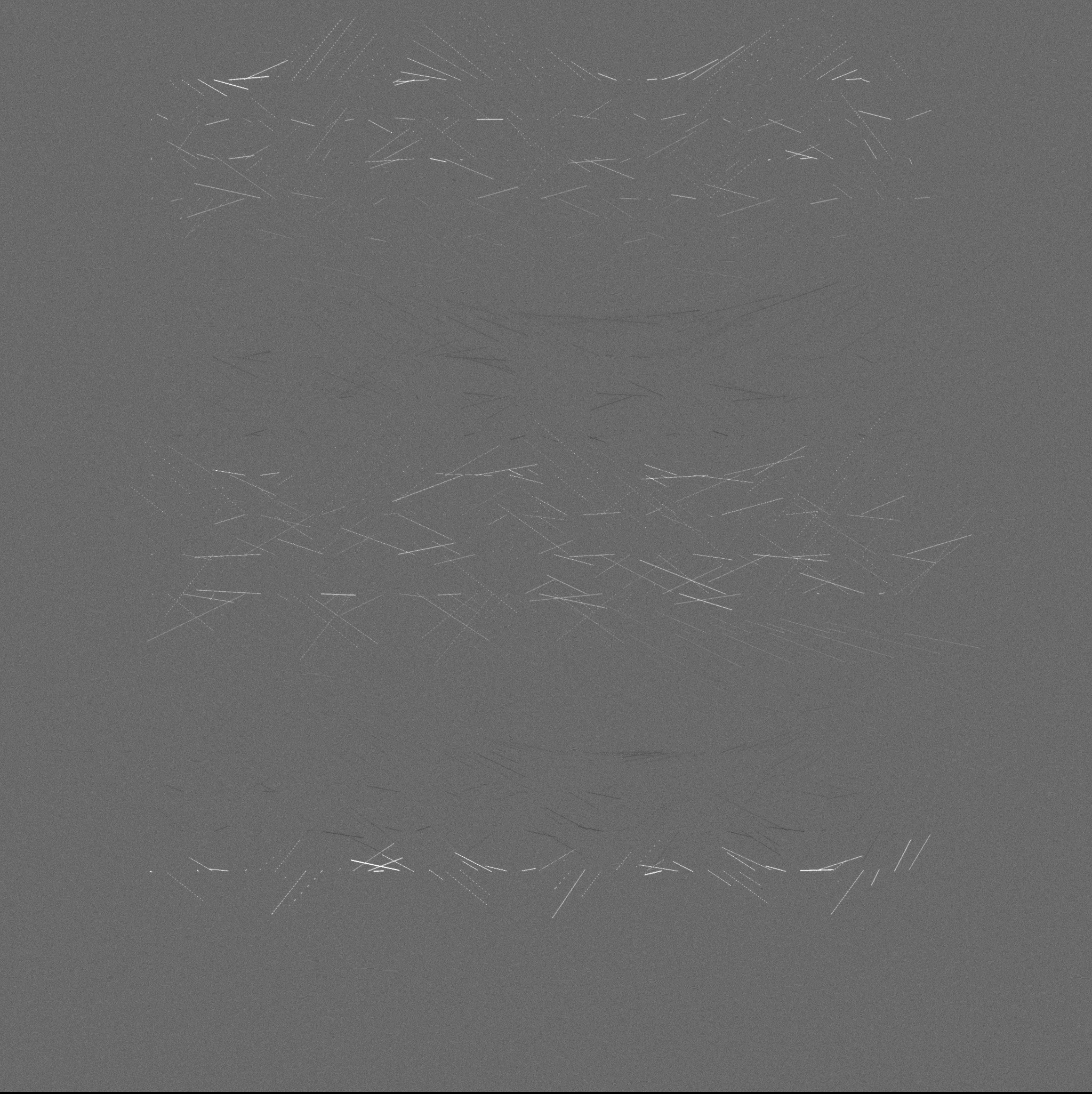 ecologías - A #262 static NFT preview