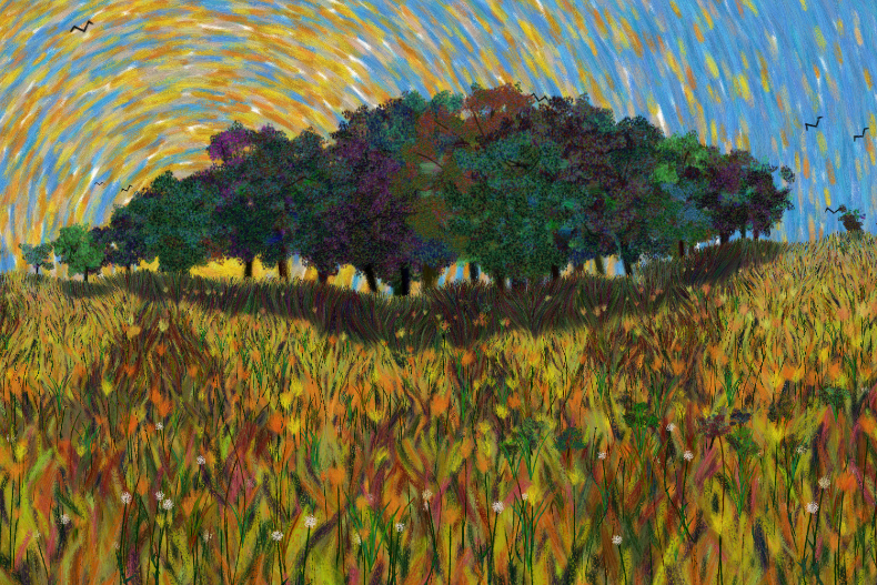 Flowers and Sky #241 static NFT preview