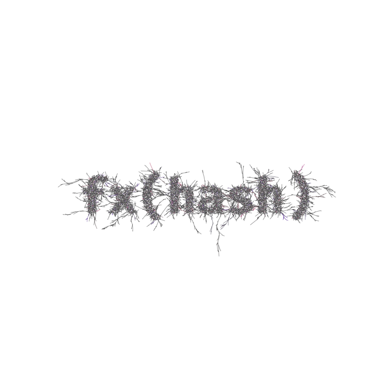 FXHASH Logo with Features #618 static NFT preview
