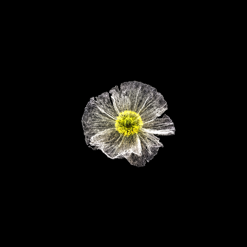 White Poppy 30 #40 static token preview
