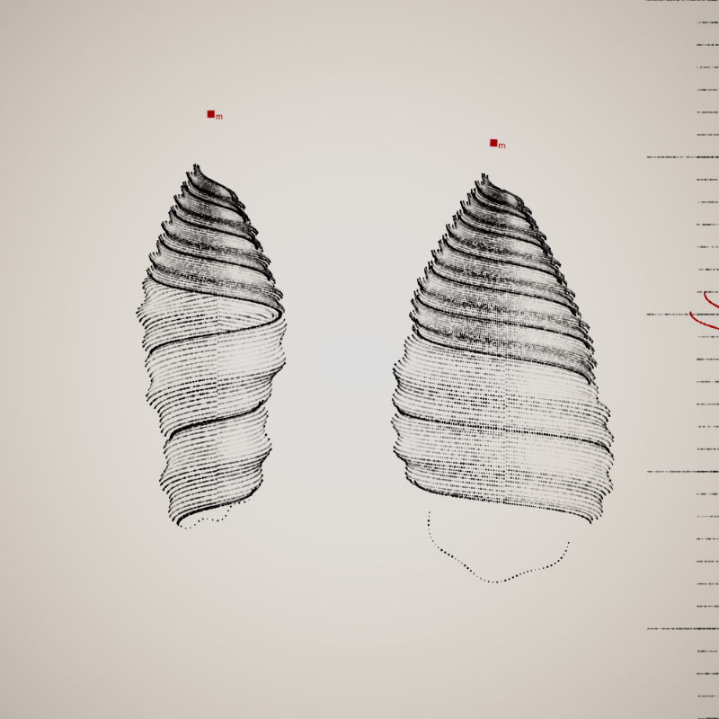 Two Specimen #272 static NFT preview