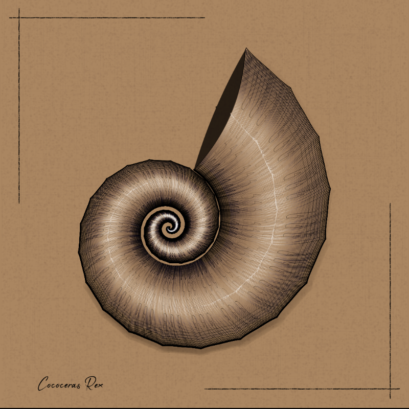 Ammonites #93 static NFT preview