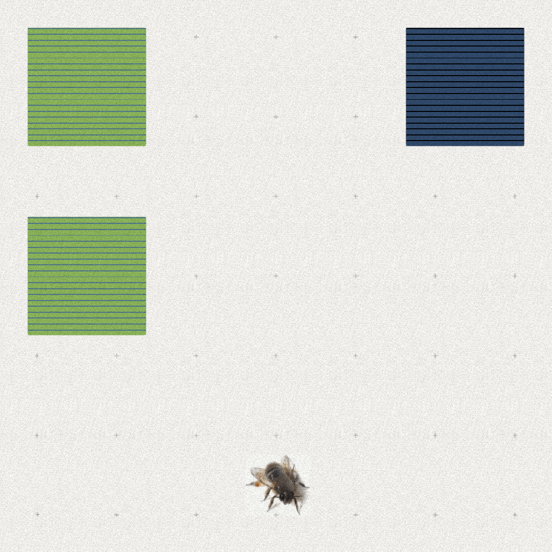Bee #29 static NFT preview