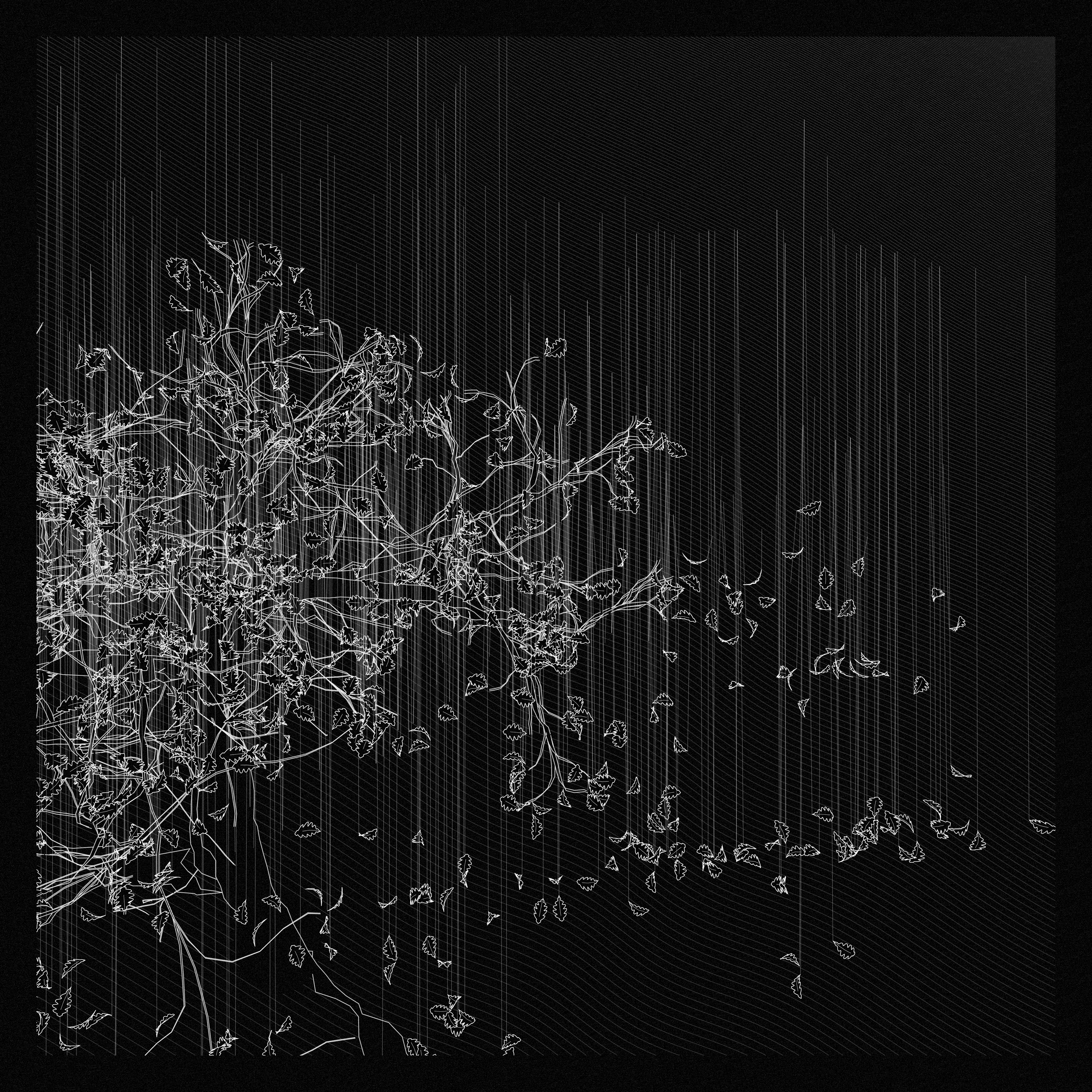 A Bugged Forest #962 static token preview