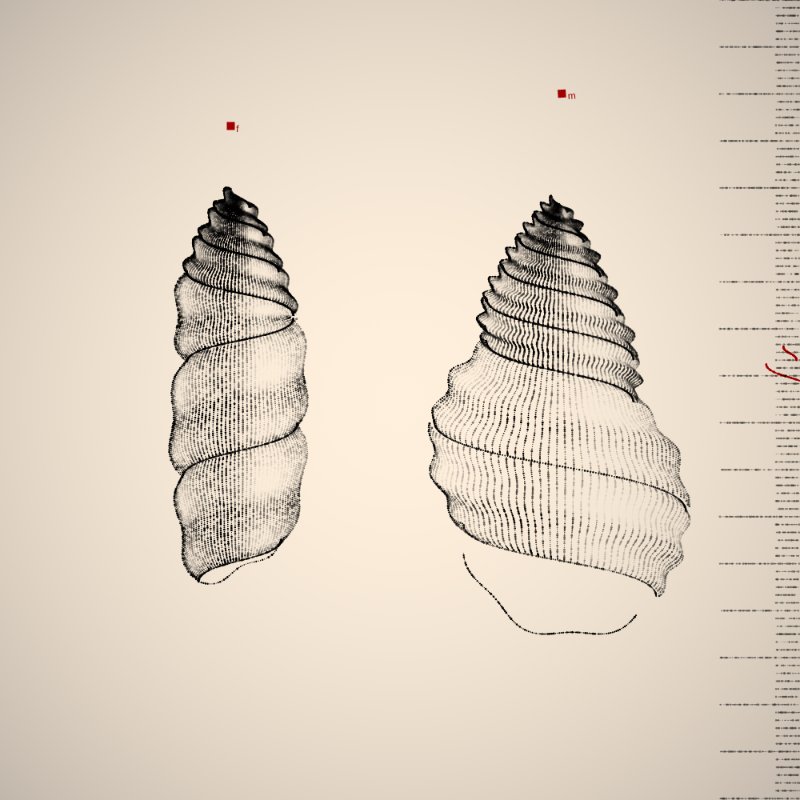 Two Specimen #139 static NFT preview