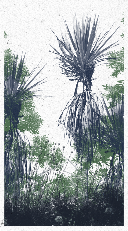 Life in the forest! #73 static NFT preview