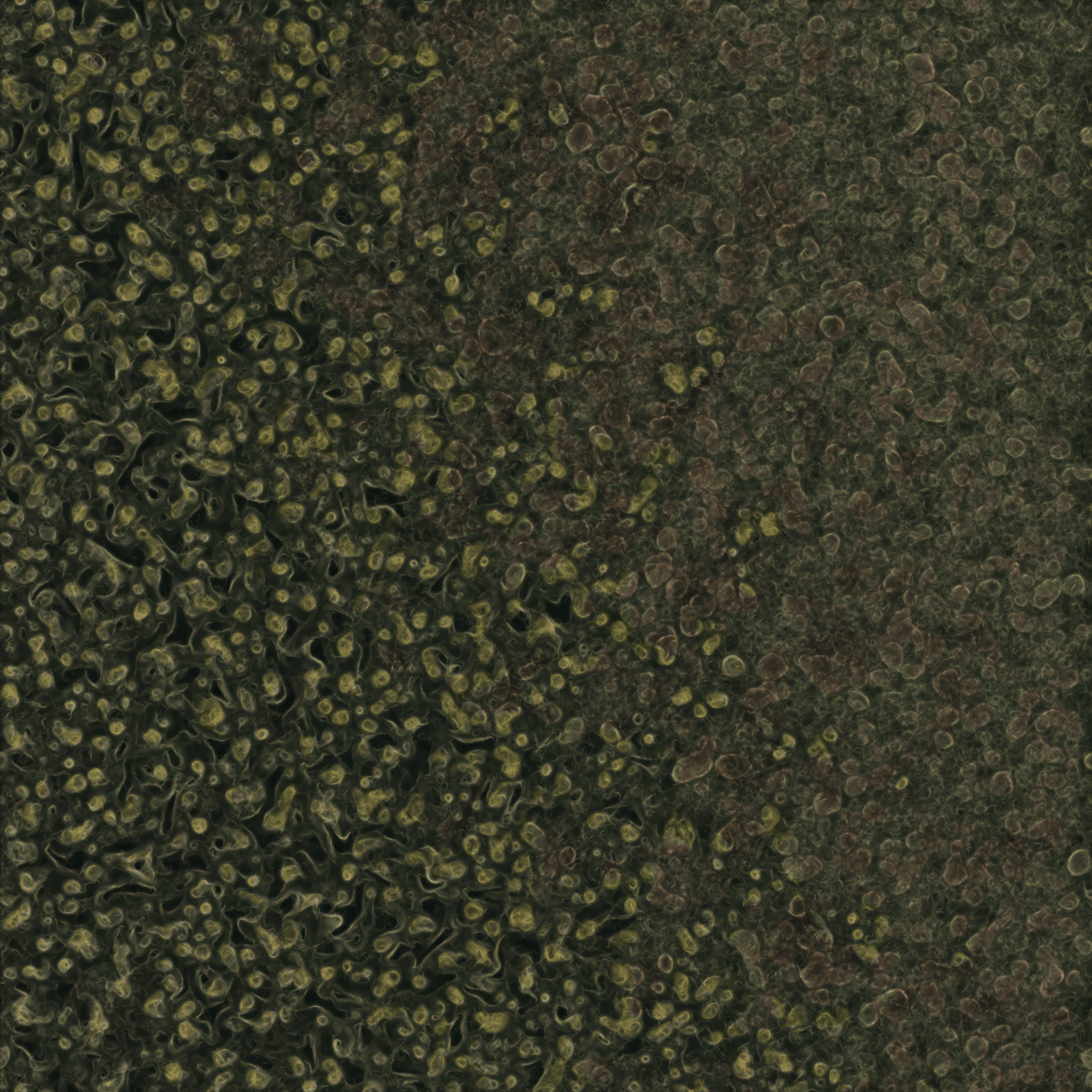 saprophyte #161 static NFT preview