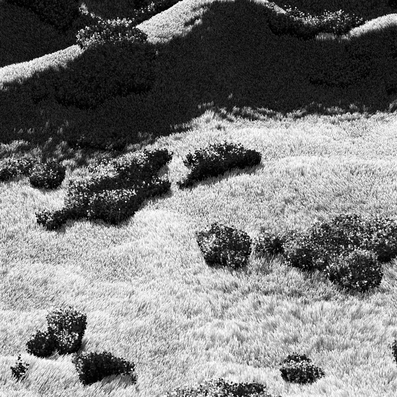 California Hills in Late Sun #11 static token preview