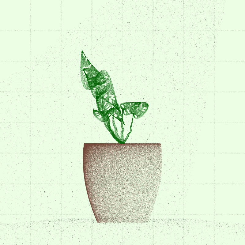 🌱 Potted & Printed #373 static NFT preview