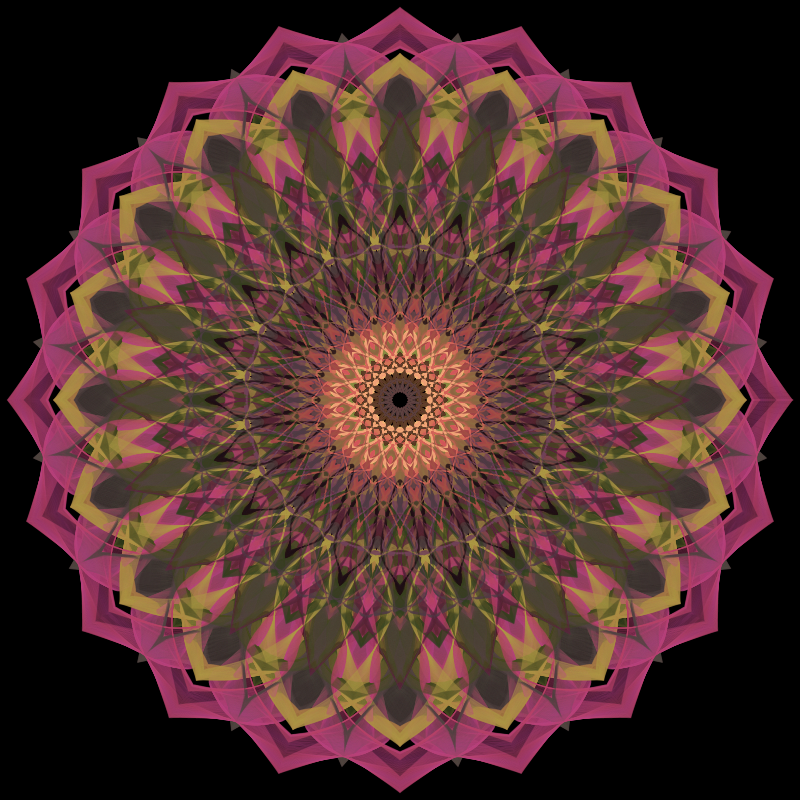 Morphing Mandala - #fxhashturnsone charity #50 static NFT preview